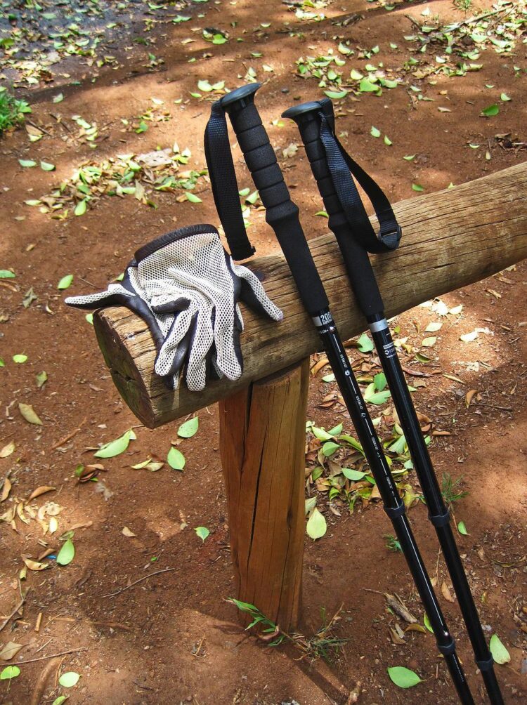 10 best budget Trekking poles Foxited