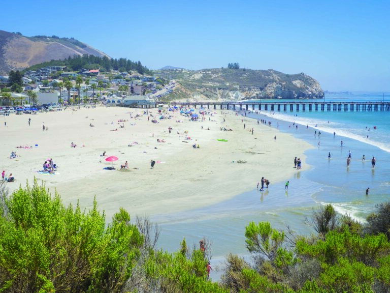 Avila Beach Camping: Your Next Outdoor Adventure